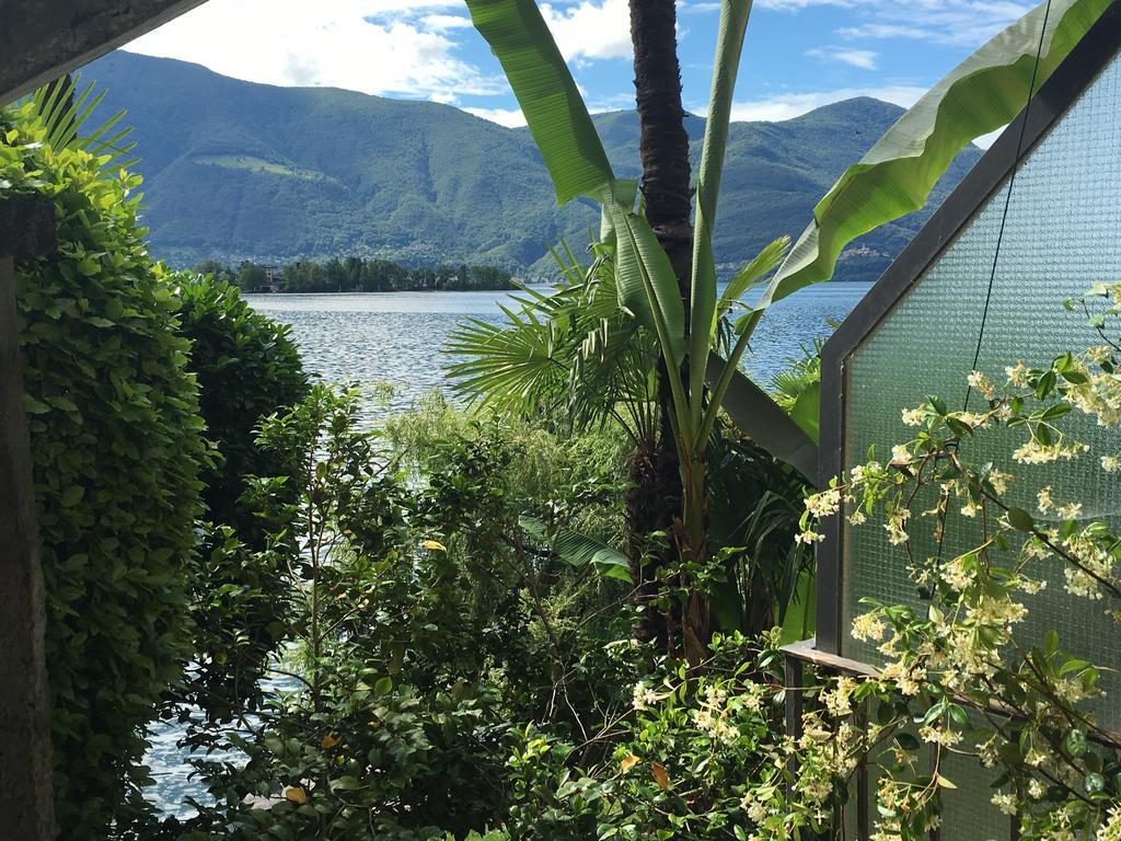 Apartments Posta Al Lago Ronco sopra Ascona Eksteriør billede