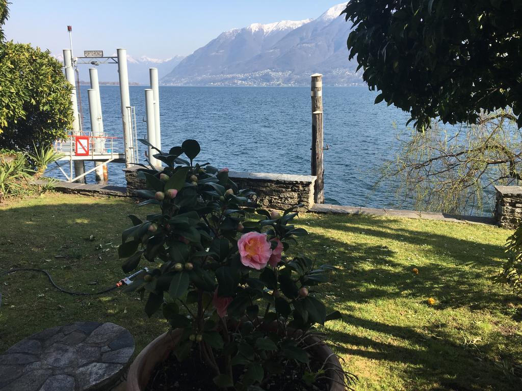 Apartments Posta Al Lago Ronco sopra Ascona Eksteriør billede
